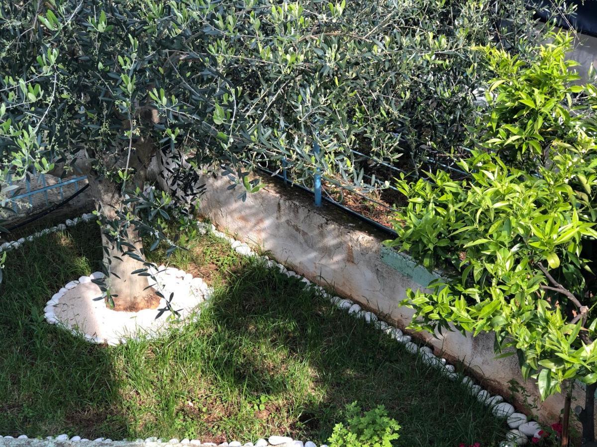 Villa Elvis Caca Ksamil Exterior foto
